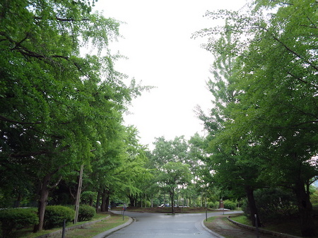 400中島公園2.JPG