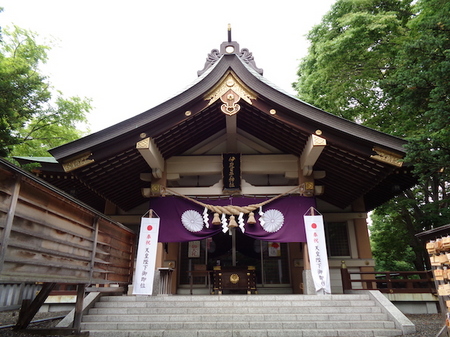 414彌彦神社15.JPG