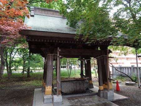 414彌彦神社6.JPG