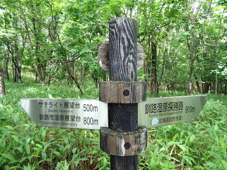 507釧路湿原2.JPG
