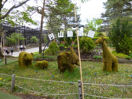 613円山動物園へ8.JPG