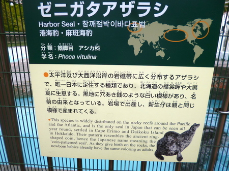 633円山動物園3.JPG