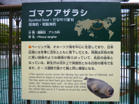 633円山動物園4.JPG