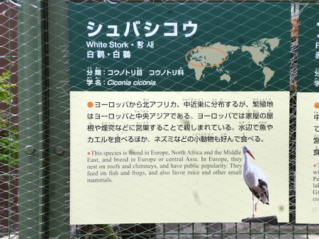 670円山動物園3.JPG
