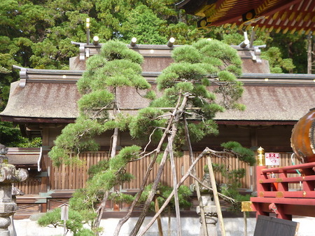 937鹽竈神社18.JPG