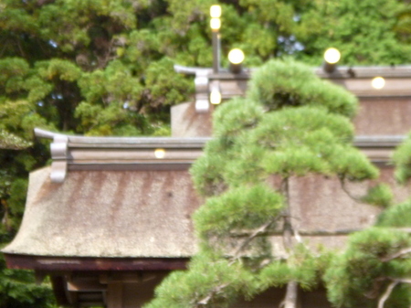 937鹽竈神社19.JPG